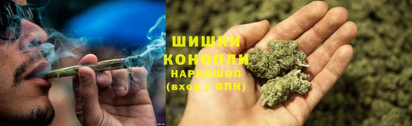 2c-b Костерёво