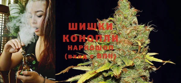 крисы Коряжма