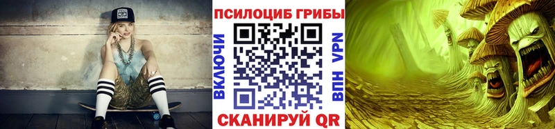 Псилоцибиновые грибы прущие грибы  Александров 